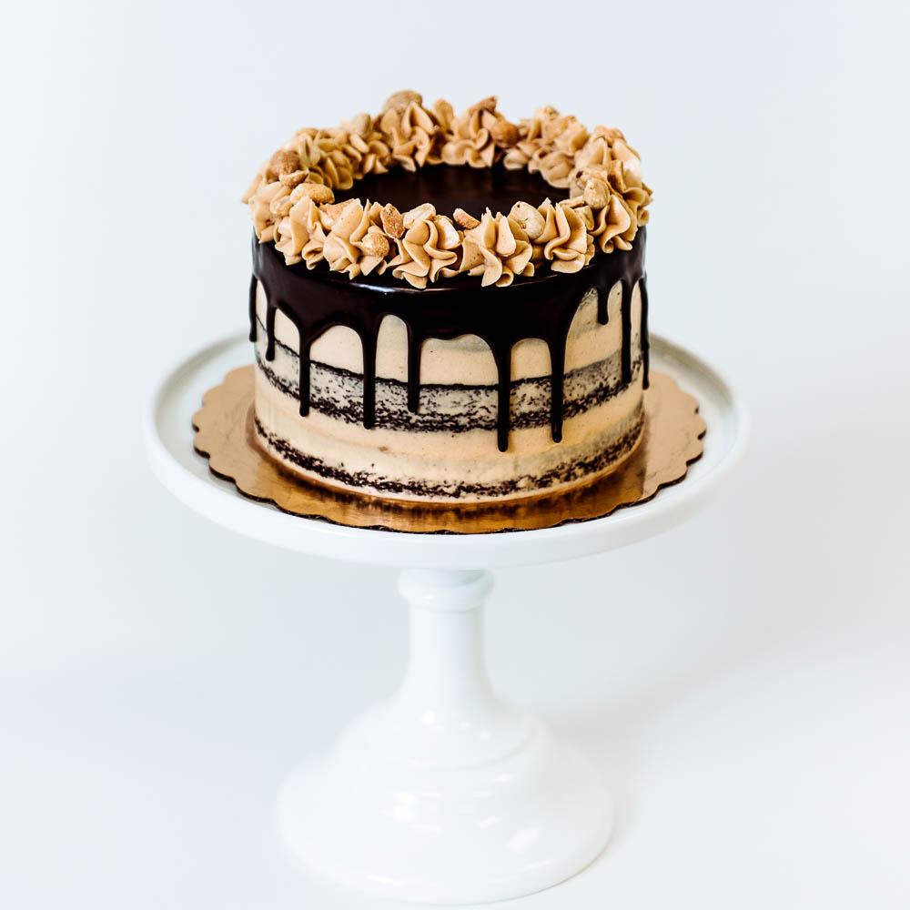 Cocoa and Fig Peanut Butter Bombe Cake